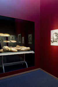 View of the exhibition Anatomies