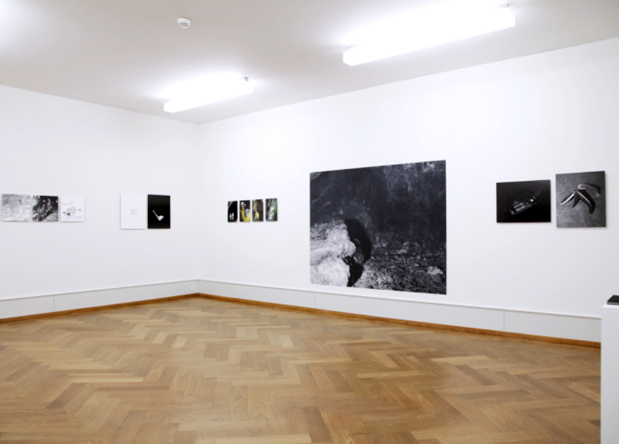 VIew of the exhibition Laubscher Petersen Plademunt Roessel