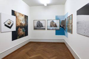 View of the exhibition Auswahl Selection 2015